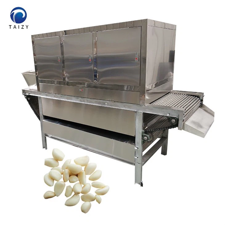 chain type garlic peeling machine-4