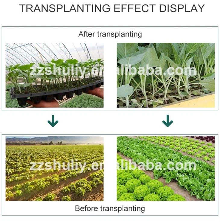 Seedling Transplanter