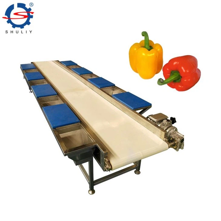 vegetable and fruit washing drying line (1)