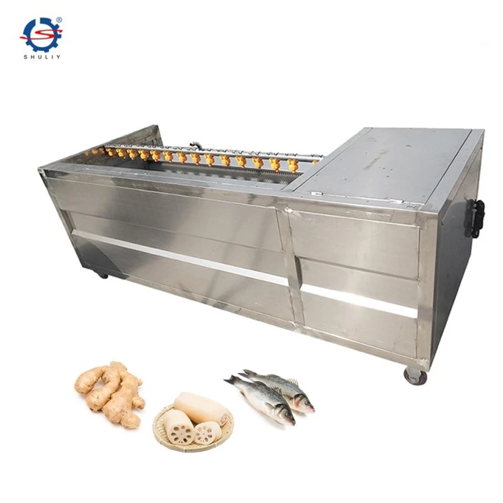 fruit washing machine4