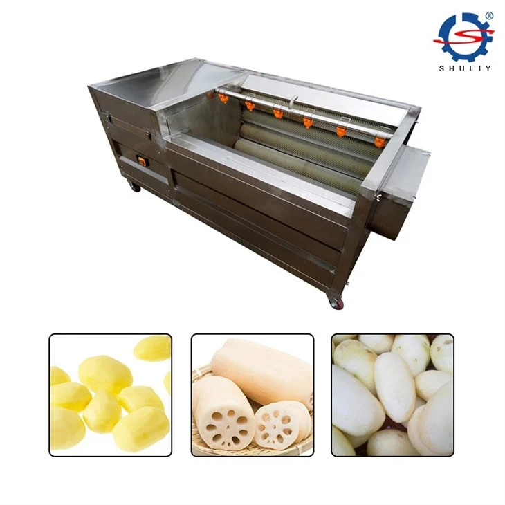 fruit washing machine3